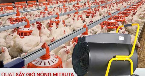 Lợi ích của việc sử dụng quạt sấy gió nóng MITSUTA ZB-EY5 trong chăn nuôi